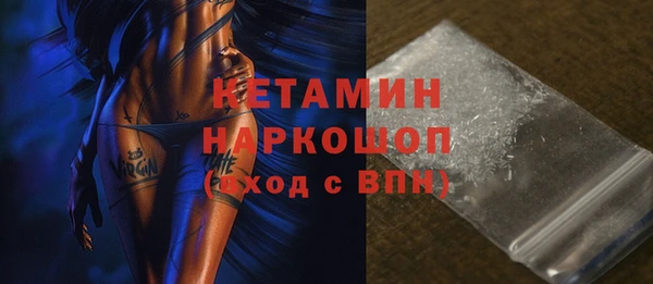 крисы Алексин