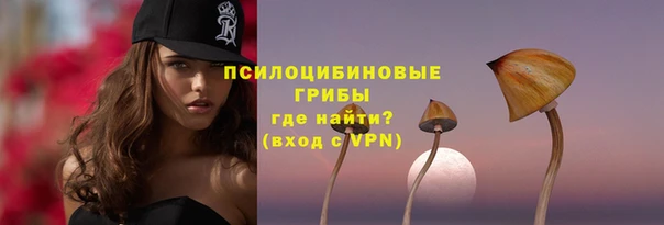 крисы Алексин