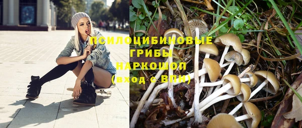 не бодяженный Алзамай